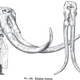Image for article titled How the Democrats Tried to Destroy Dinosaur Art